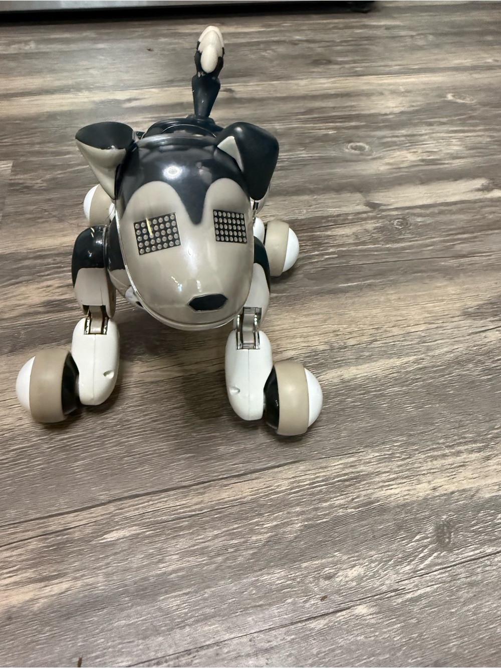 Interactive Robot Dog Toy - Black & White